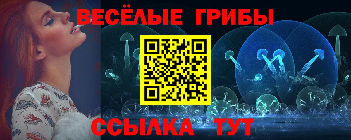 Ульяновск  Псилоцибиновые грибы MAGIC MUSHROOMS  Вход с VPN 